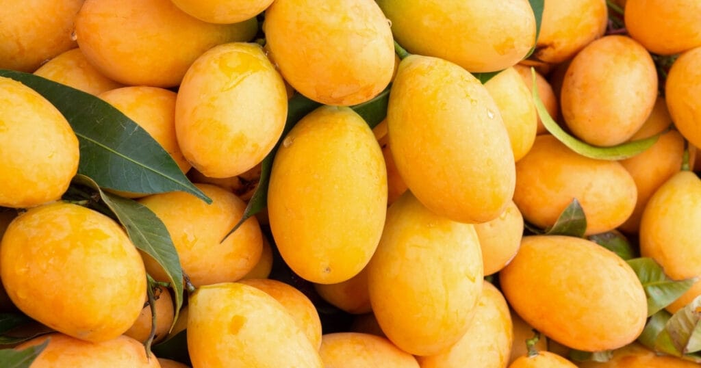 mango