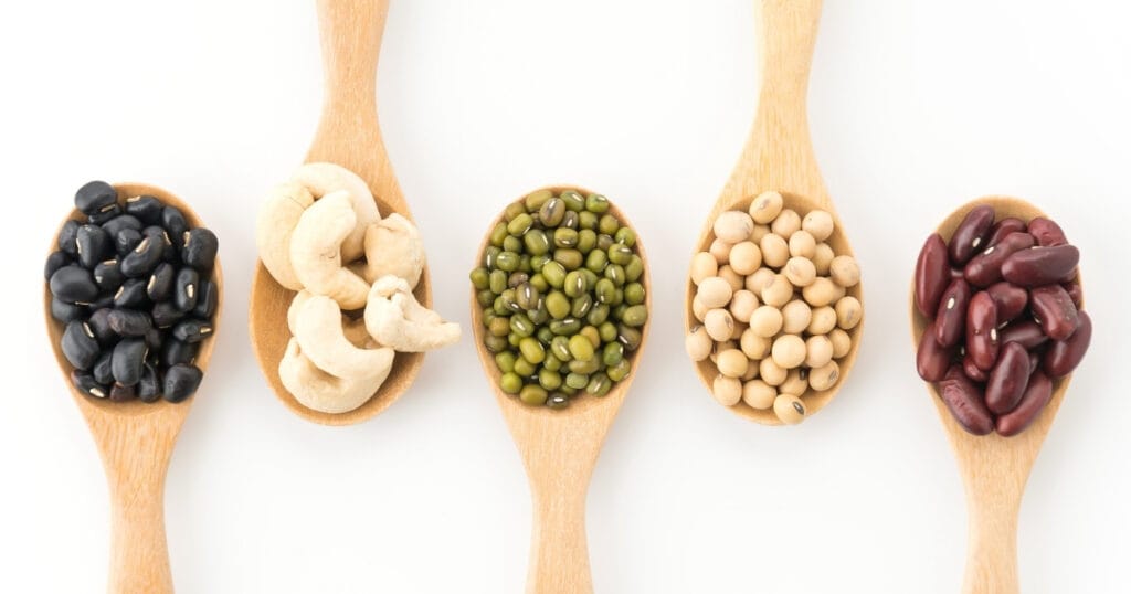 lentil